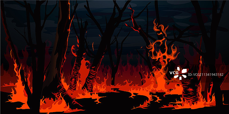 森林火灾：夜间树木燃烧图片素材