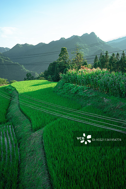梯田景色图片素材