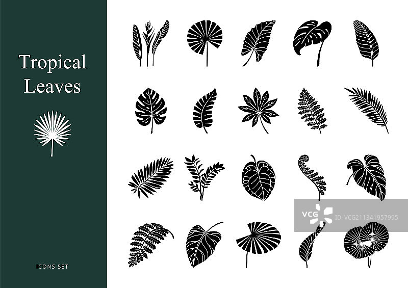 异域热带树叶图案图标素材图片素材