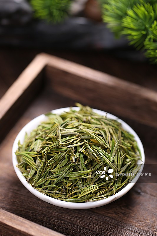 安吉白茶图片素材