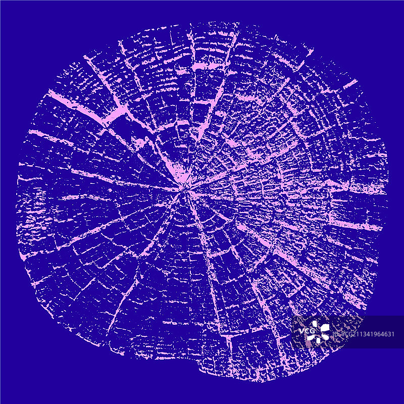 树木年轮天然切割木材图片素材