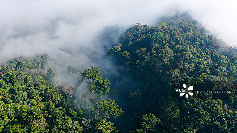 西双版纳国家级自然保护区图片素材