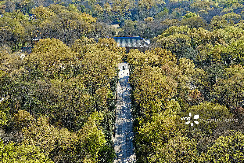 南京灵谷寺图片素材