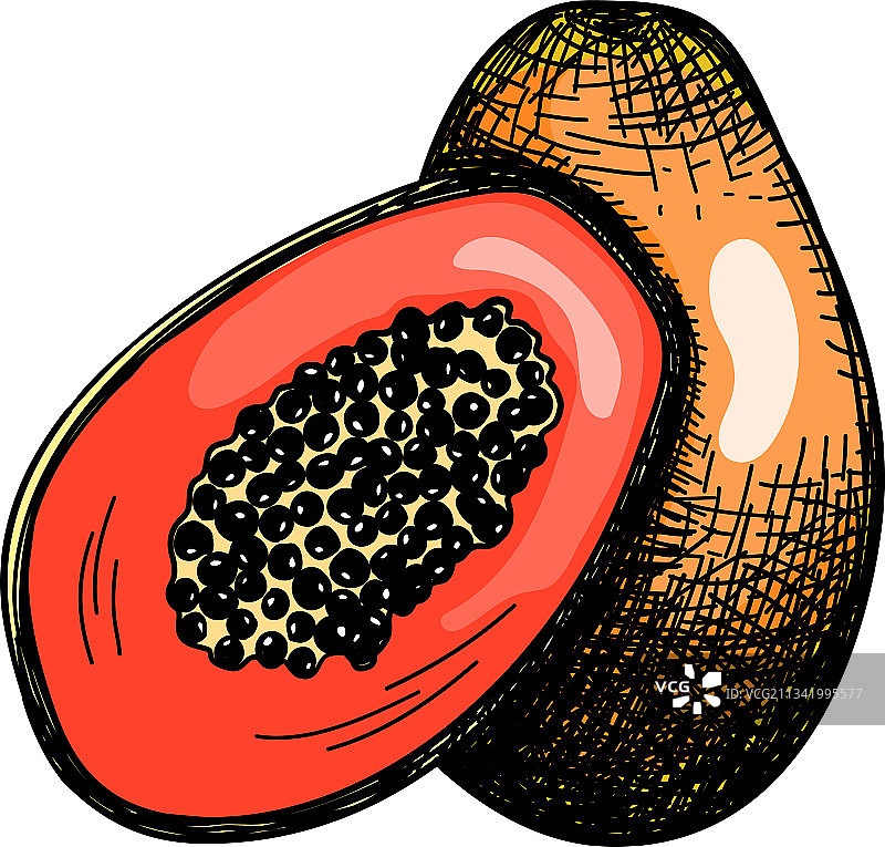 木瓜图标图片素材