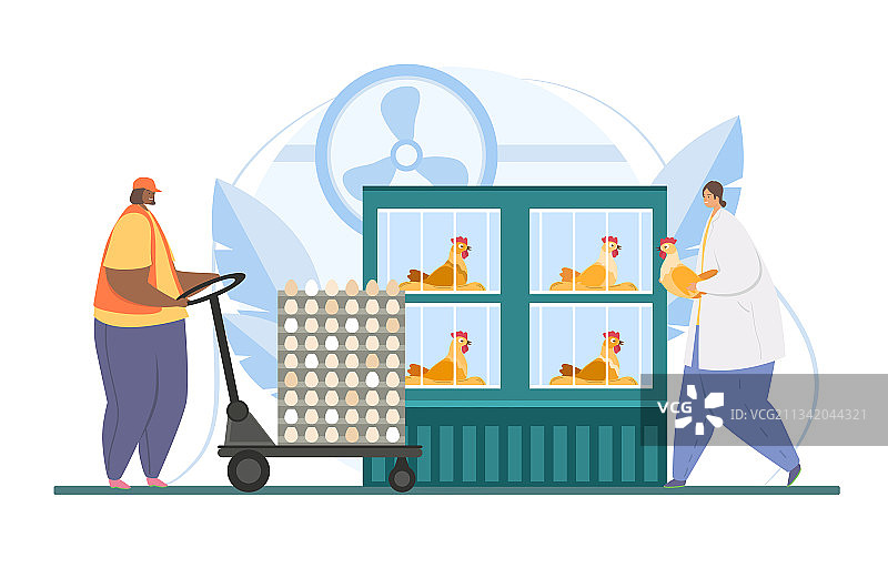 鸡蛋家禽养殖场飞禽兽医图片素材