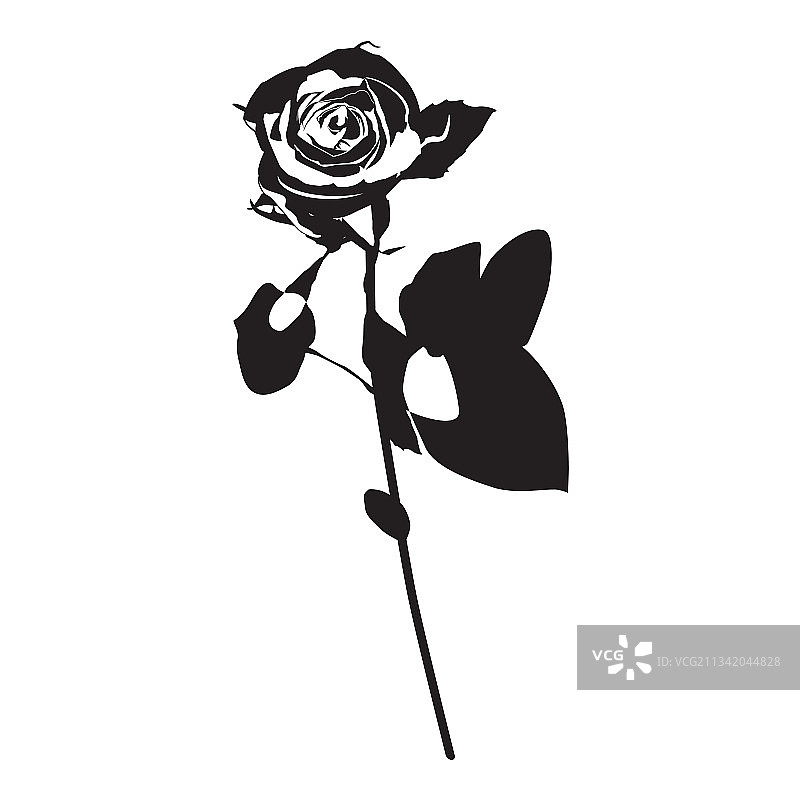 玫瑰花黑色剪影图片素材