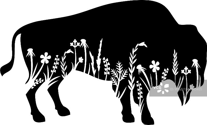 花卉美洲野牛和草地图片素材