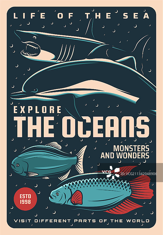 海底生物海报图片素材