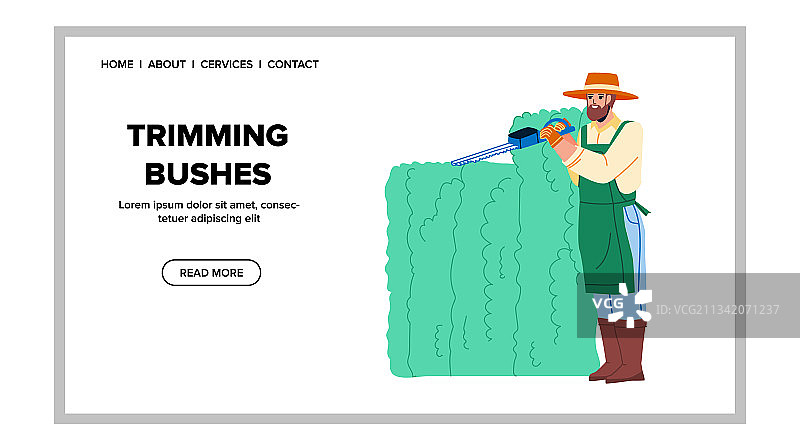 园丁用绿篱机修剪灌木图片素材