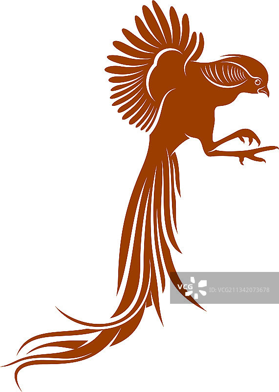 金色野鸡创意设计图片素材