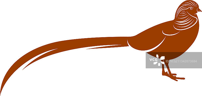 金色野鸡创意设计图片素材