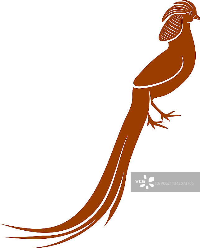 金色野鸡创意设计图片素材