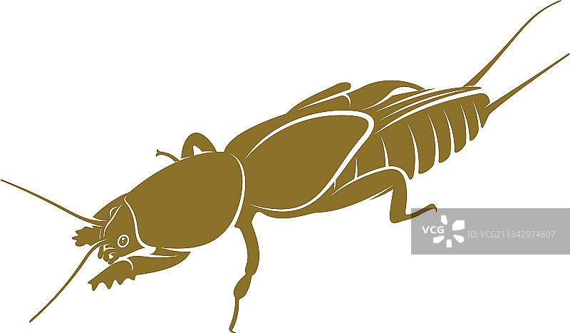 蝼蛄设计创意图片素材