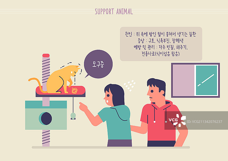 宠物，兽医院，疾病，疾病预防，猫图片素材