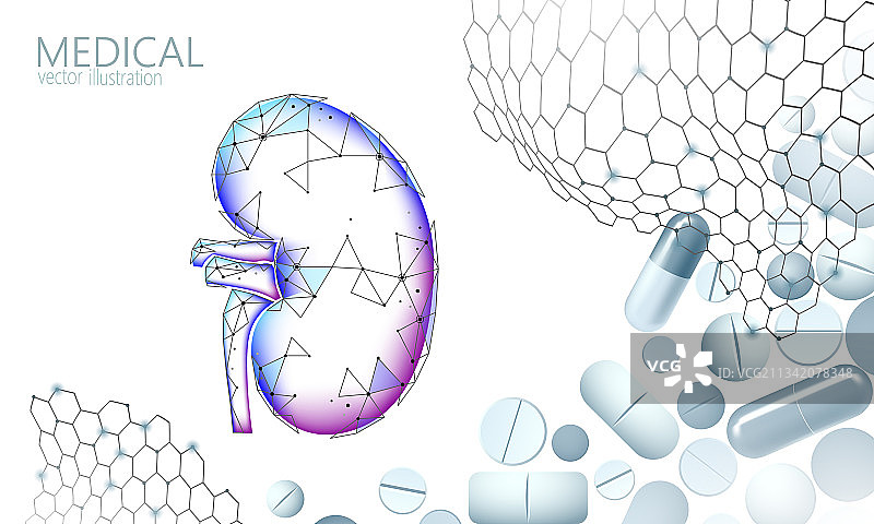 人体肾脏医学治疗概念图片素材