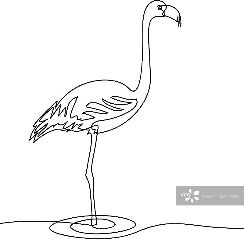 火烈鸟图片素材