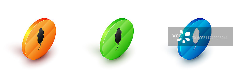 2.5D羽毛图标，白色背景图片素材