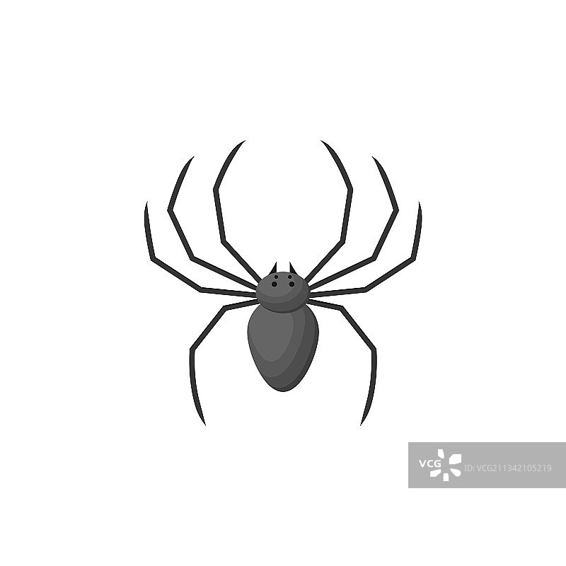 扁平风格蜘蛛图片素材