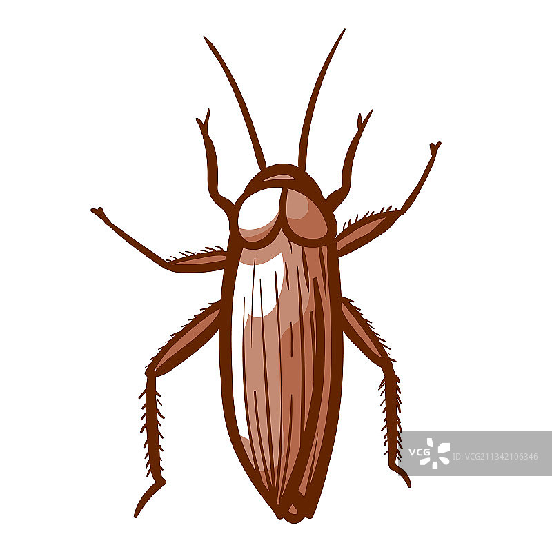 手绘蟑螂图标，家居害虫图片素材