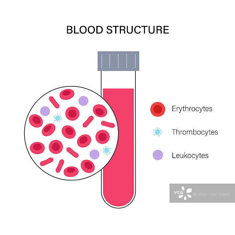 血液结构概念图片素材