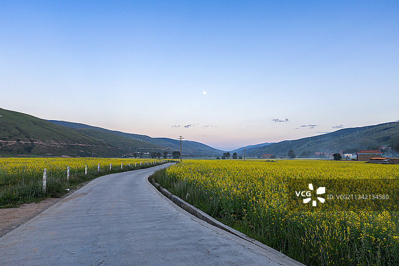 四川省甘孜藏族自治州德格县油菜花自然风光图片素材
