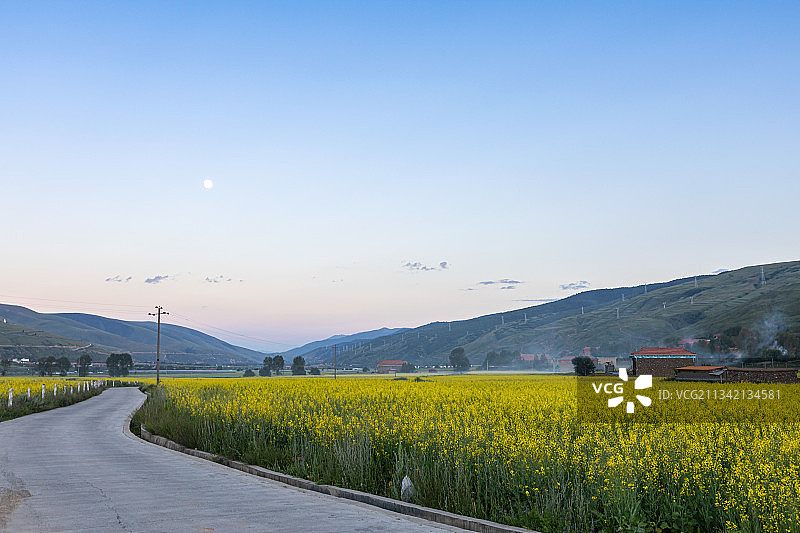 四川省甘孜藏族自治州德格县油菜花自然风光图片素材