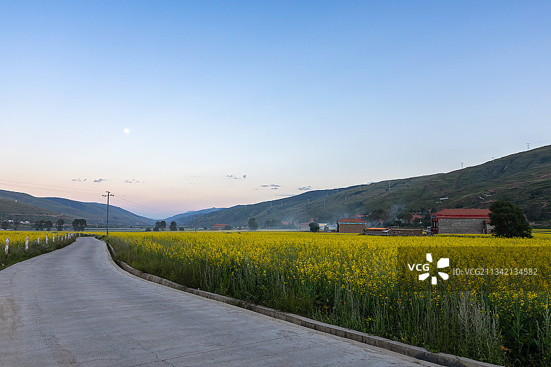 四川省甘孜藏族自治州德格县油菜花自然风光图片素材