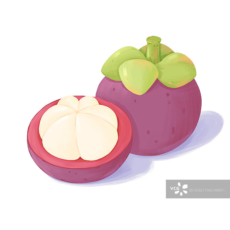 美味水果山竹绘画插画图片素材