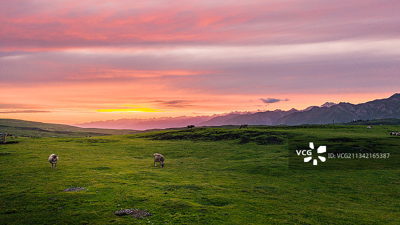唐布拉草原一场大雨过后的夕阳晚霞图片素材