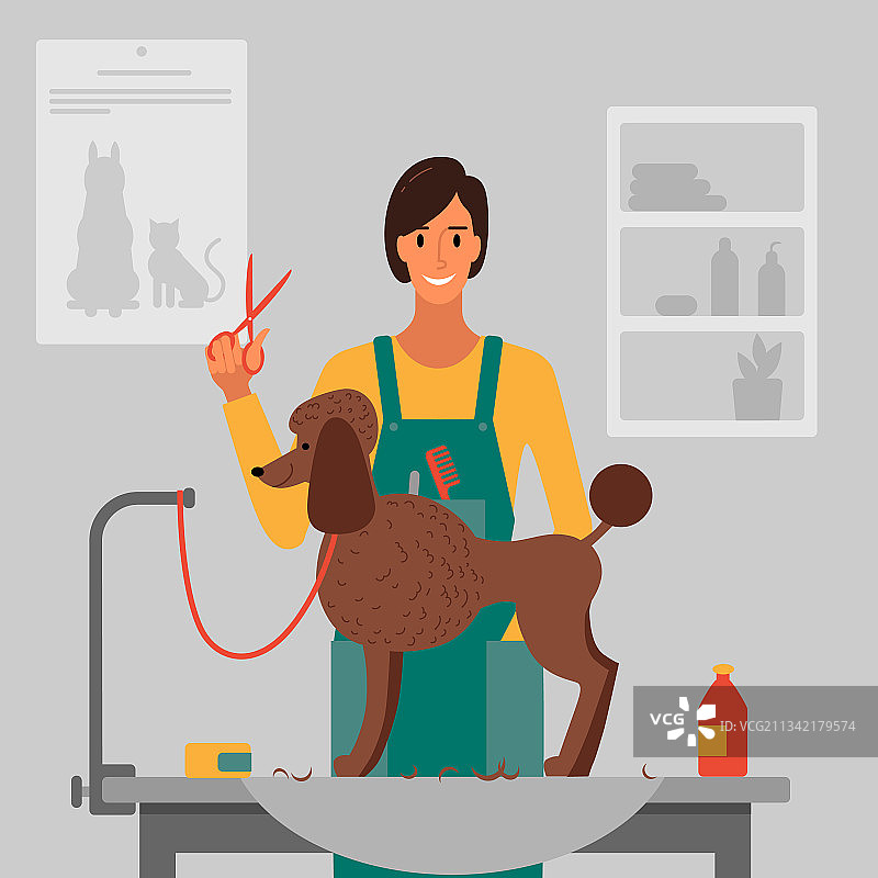 宠物沙龙里的狗狗美容图片素材