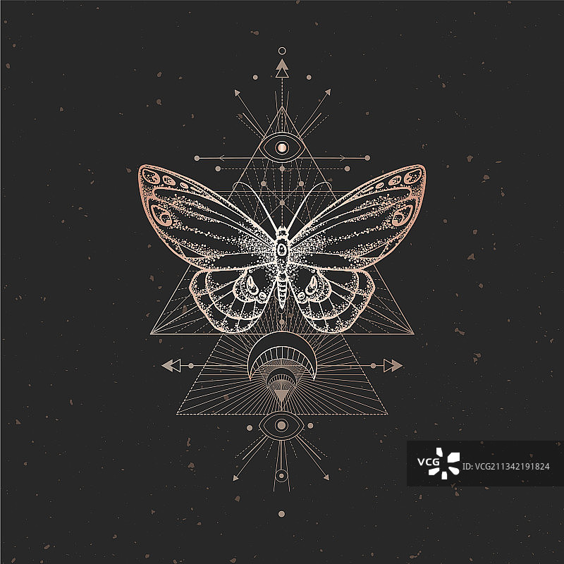 蝴蝶与几何符号图片素材