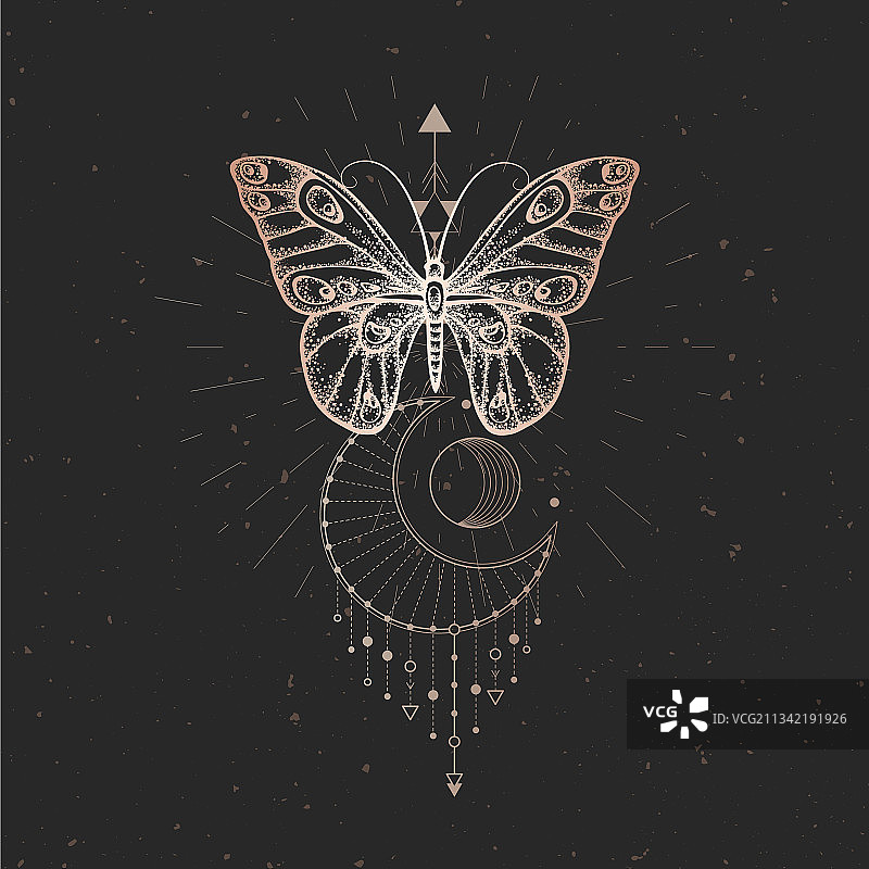 蝴蝶与几何符号图片素材
