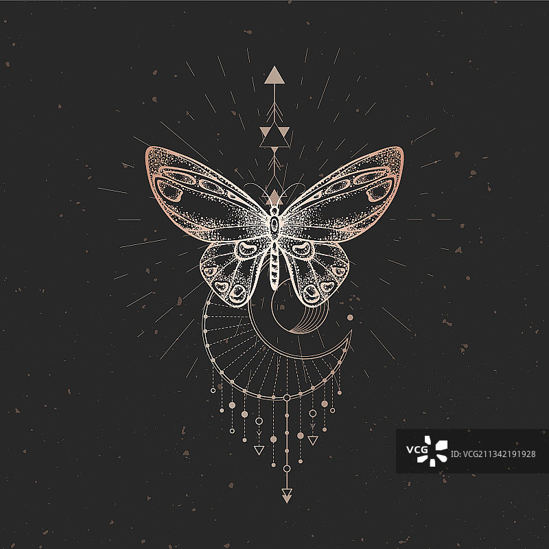 蝴蝶与几何符号图片素材
