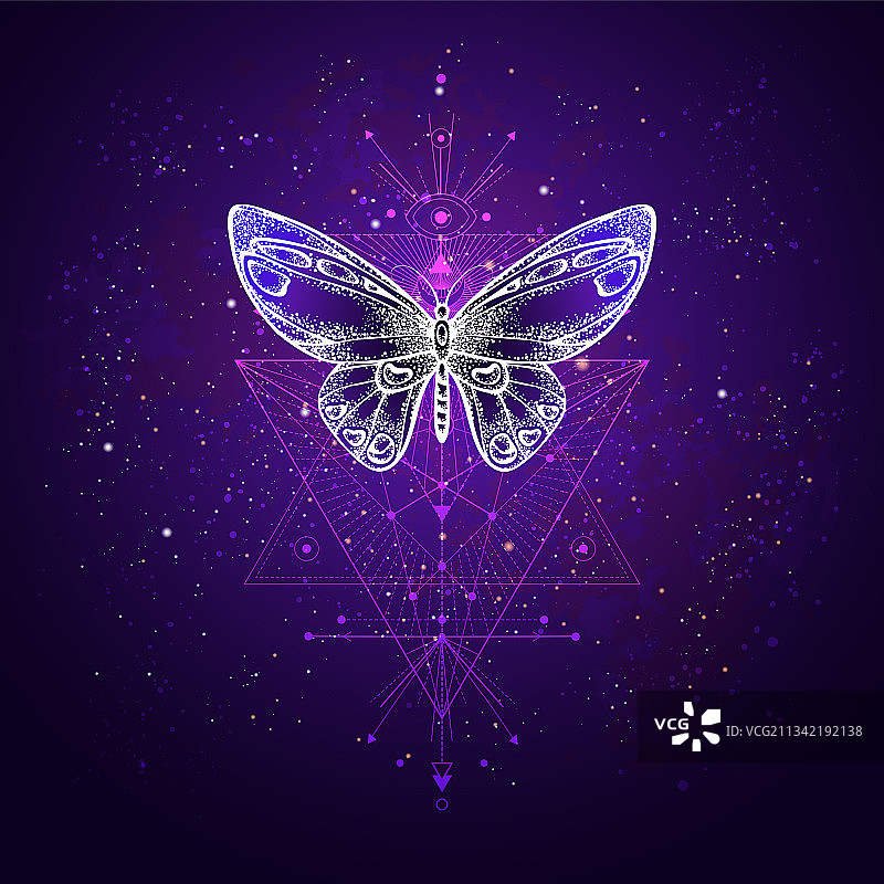 蝴蝶与几何符号图片素材