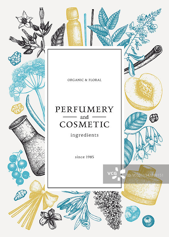 香氛水果素描边框图片素材