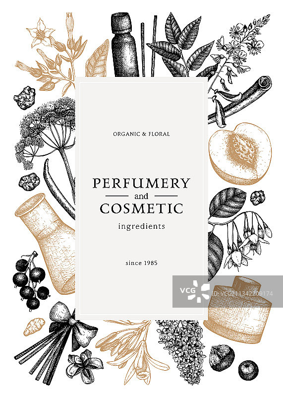 香氛水果素描边框图片素材