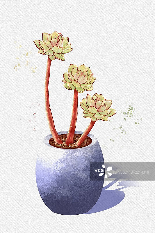 水彩多肉红化妆图片素材