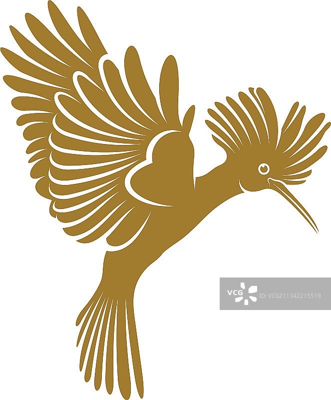 欧亚戴胜鸟图片素材