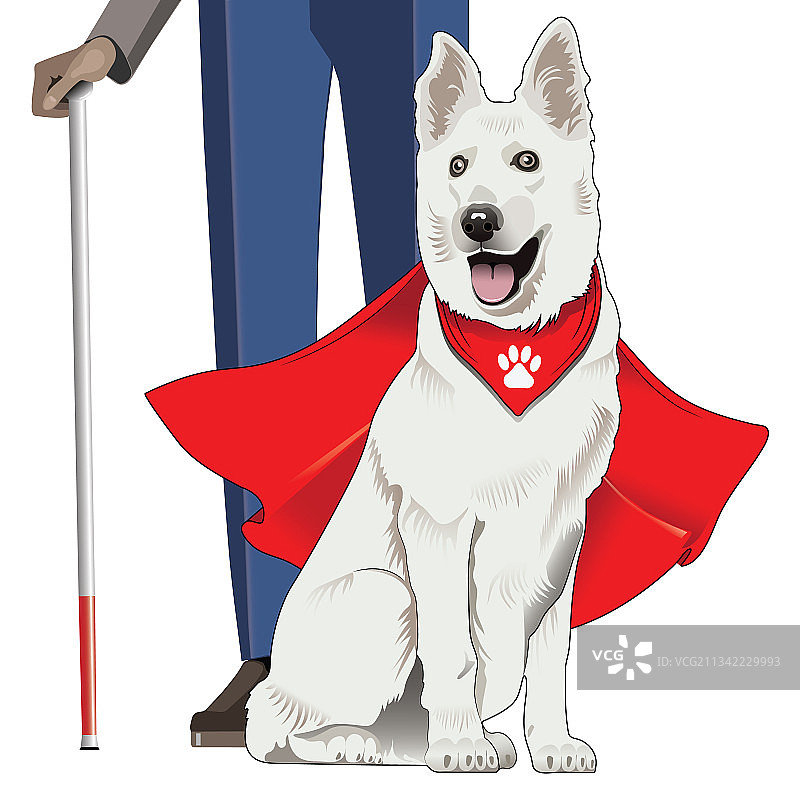 带着英雄服务犬的残疾男子图片素材