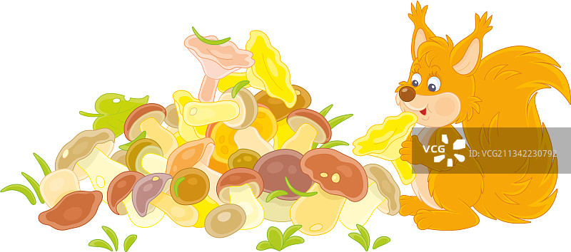 带蘑菇的红色小松鼠图片素材