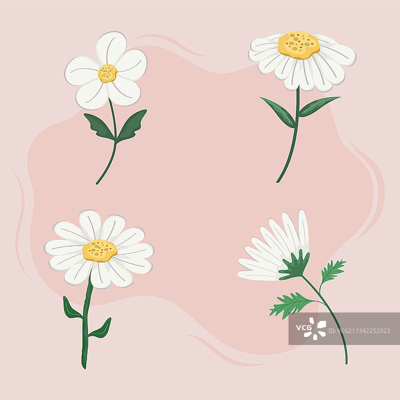 带树枝的鲜花素材图片素材