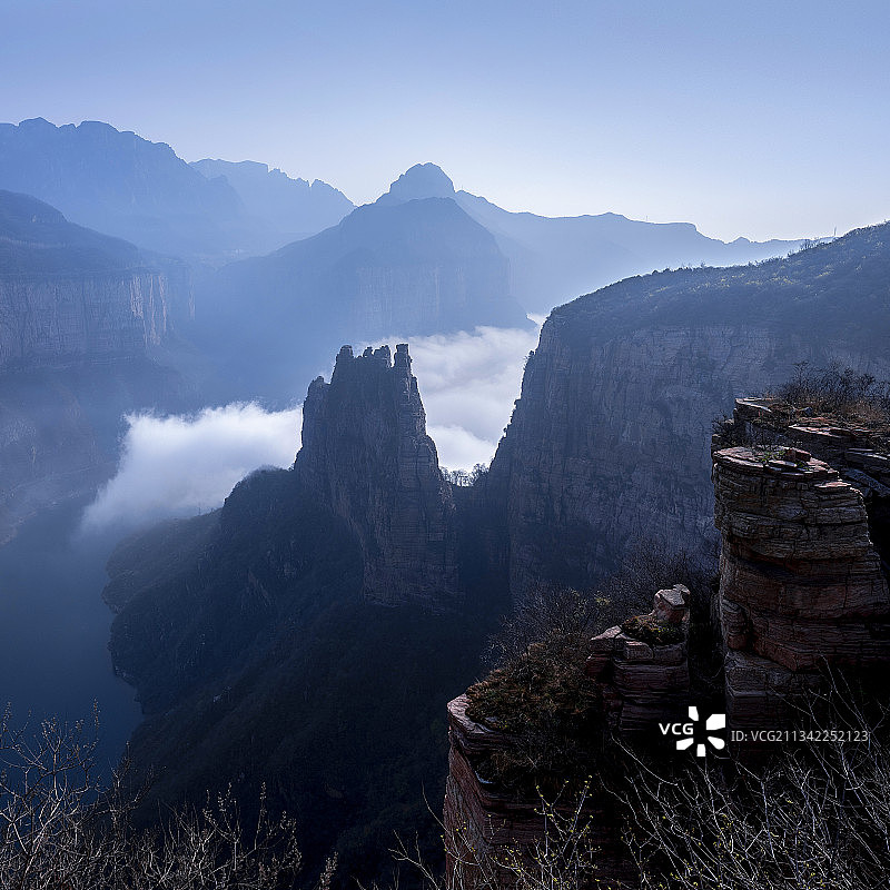 骆驼峰图片素材