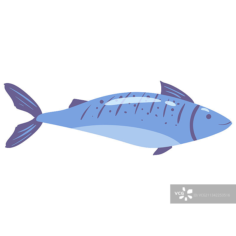 蓝色鱼类天然健康有机营养图片素材