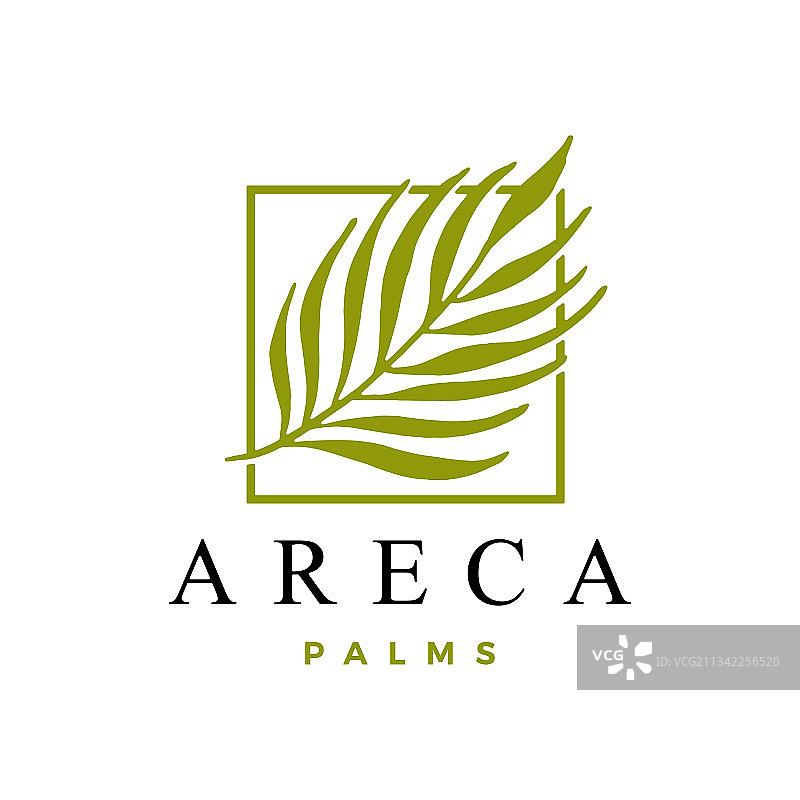 槟榔树标志图标图片素材