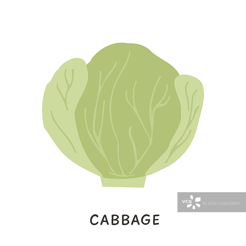 有机白菜图片素材