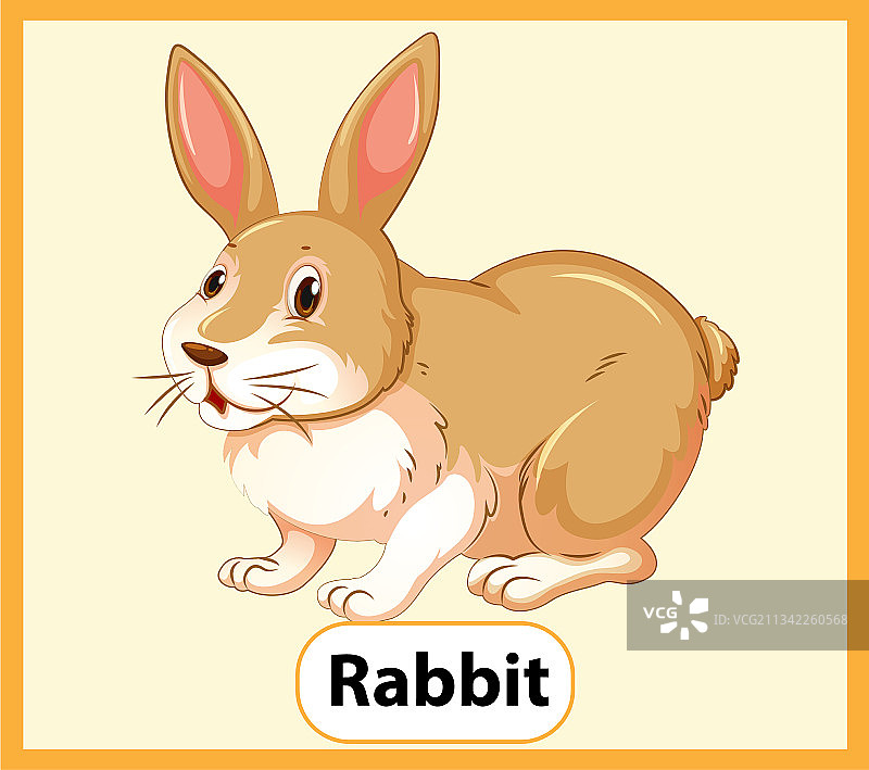 英语单词学习卡片：兔子图片素材