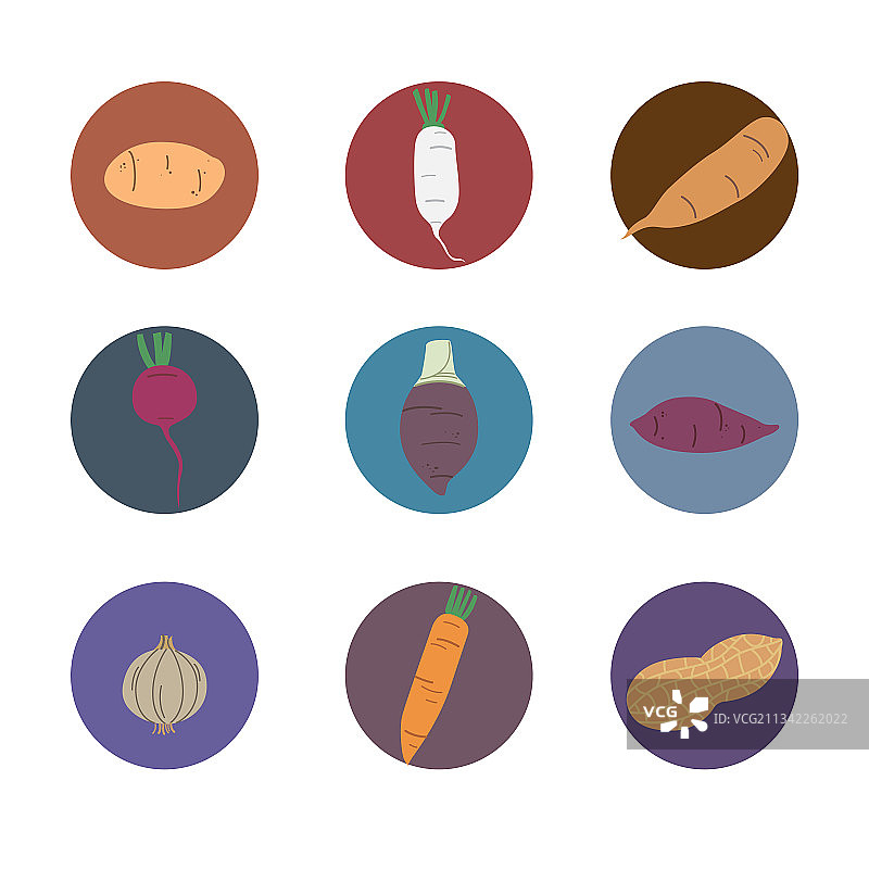 块茎扁平风格图标图片素材