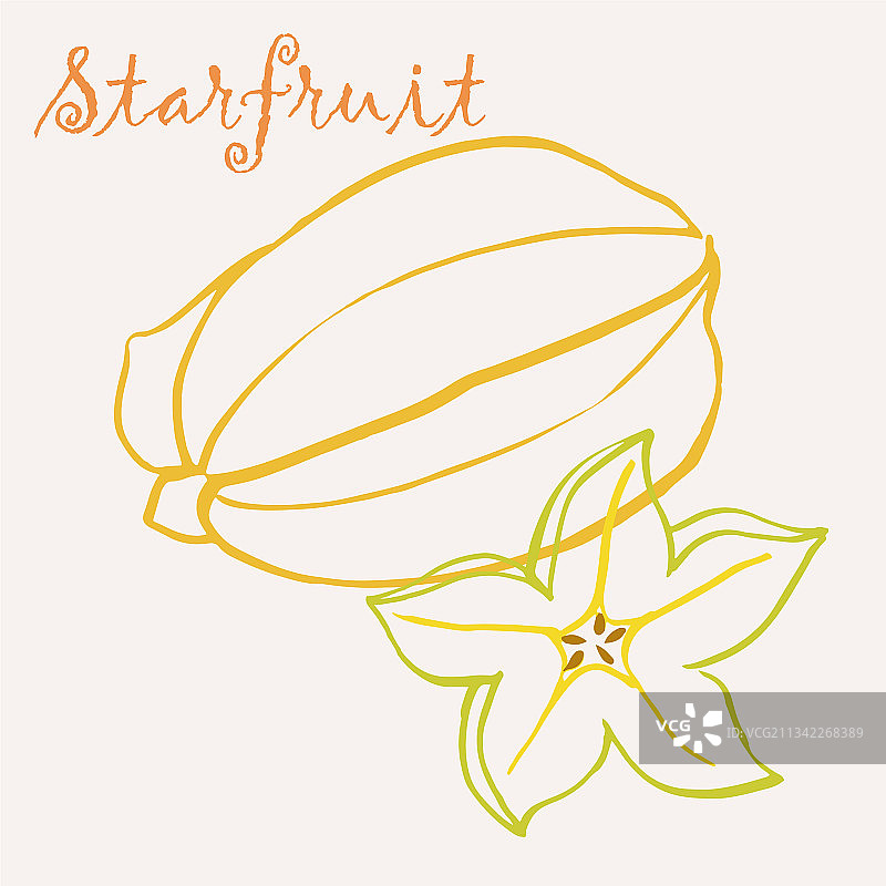 手绘杨桃多色线条艺术图片素材