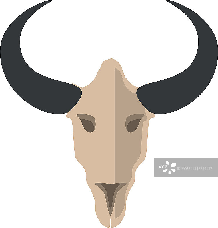 波西米亚风牛头骨图片素材