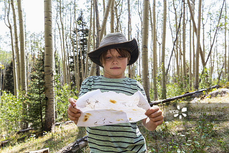 美国圣菲国家森林公园，7岁男孩在白杨树林中拿着藏宝图图片素材